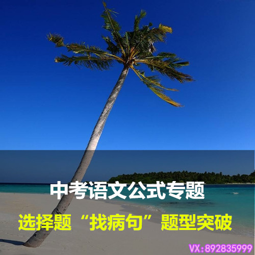 初中中考语文公式高分选择题找病句题型解答精讲视频辅导教程学习