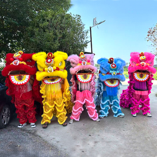 舞狮道具全套南狮醒狮双人树脂胶舞狮整套成人表演三号羊毛狮子头