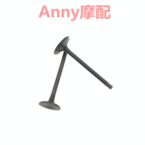 SDH125T-31-37-35-36-38进排气门