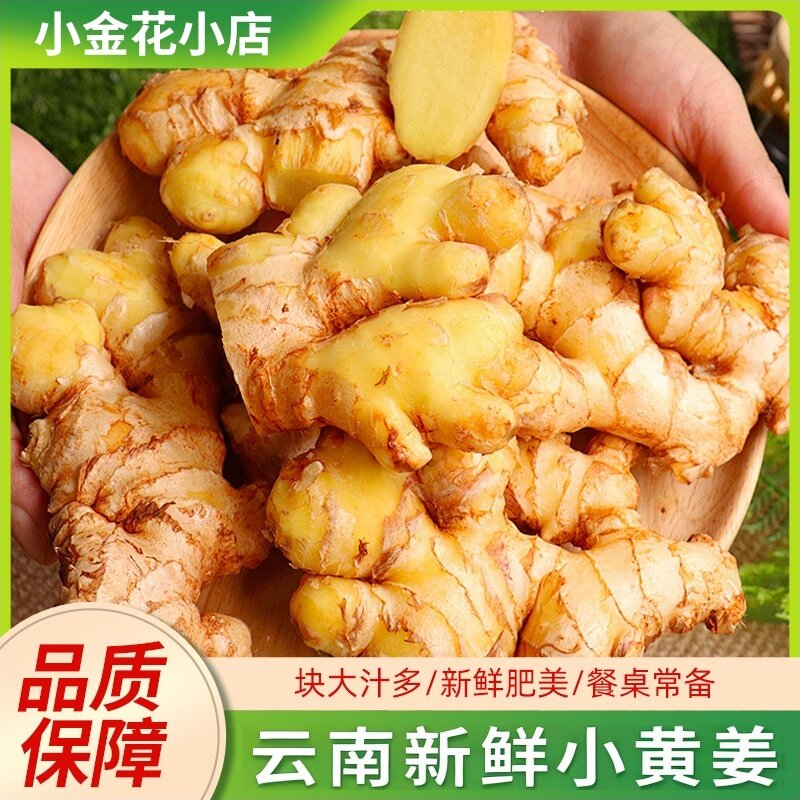 云南正宗小黄姜新鲜生姜成熟老姜现挖孕妇月子姜带泥土姜常备新姜