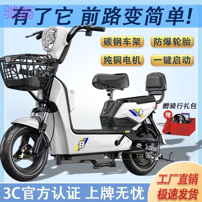 新国标双人电动车小型男女士电瓶车可上牌锂电成人代步电动自行车