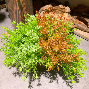 佛甲草仿真假草垂盆草室内植物墙配材屋顶装饰插花摆件绿植水草花