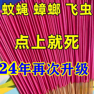 灭蝇香饭店家用强力杀蝇有效驱蚊香盘蚊香熏文香灭蚊蝇香 24年特价