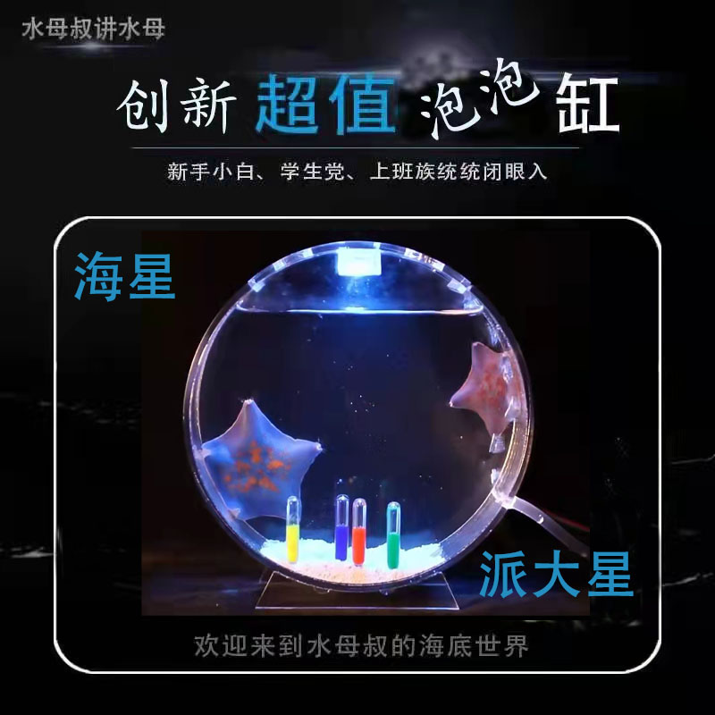 海星宠物海洋奇异礼物儿童学生