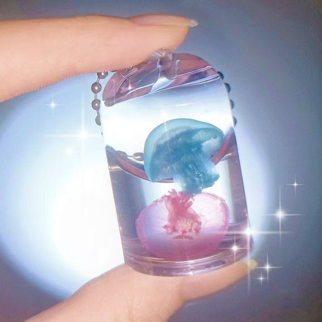 水母标本学生宠物海洋玩具奇异挂件真水母赤月海月大西洋巴布亚硝