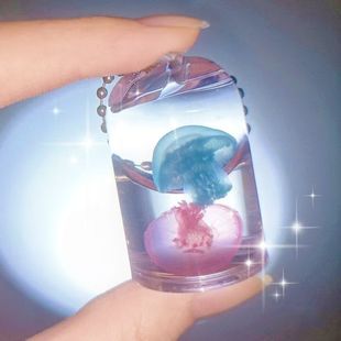 水母标本学生宠物海洋玩具奇异挂件真水母赤月海月大西洋巴布亚硝