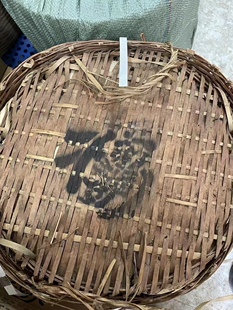 70年代香港茶商定制 贡尖 上原度六堡茶 广西黑茶槟榔香 250克/包