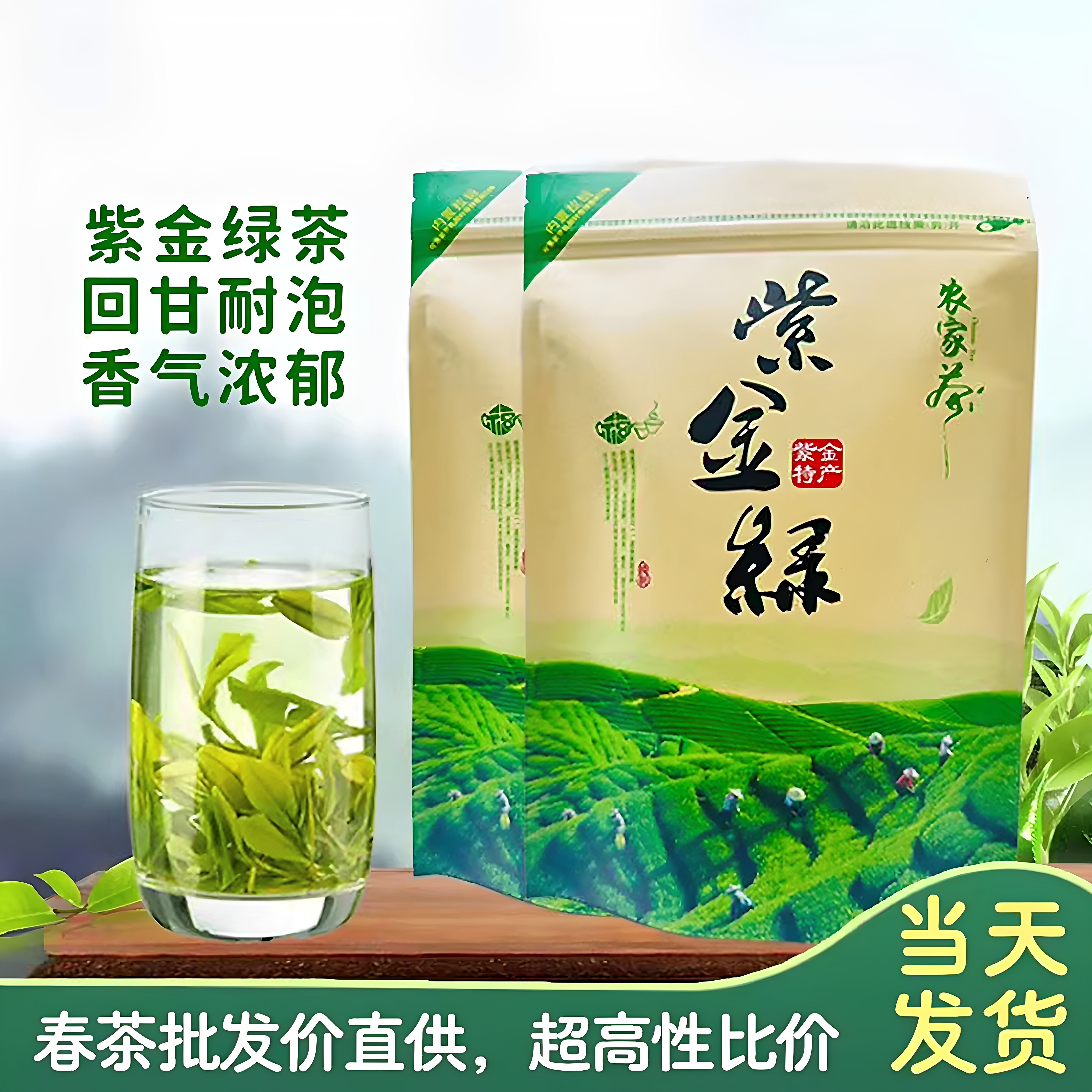 紫金绿茶新茶2026春茶河源紫金禅茶龙窝绿茶客家黄花茶叶浓香500g