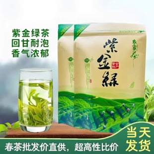 紫金绿茶新茶2026春茶河源紫金禅茶龙窝绿茶客家黄花茶叶浓香500g