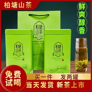 绿茶2025新茶惠州山茶博罗柏塘山茶广东十大名茶炒青回甘浓香耐泡