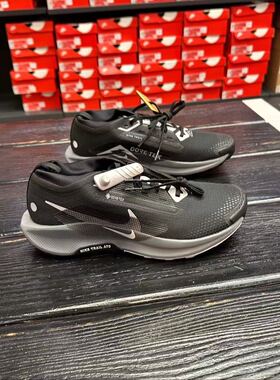 NIKE PEGASUS TRAIL 5 GTX耐克男款户外徒步跑步鞋FQ0908-104-001