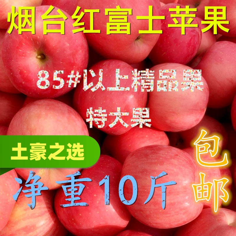 山东烟台红富士苹果应季采摘85#及以上特大果精品果净重10斤包邮