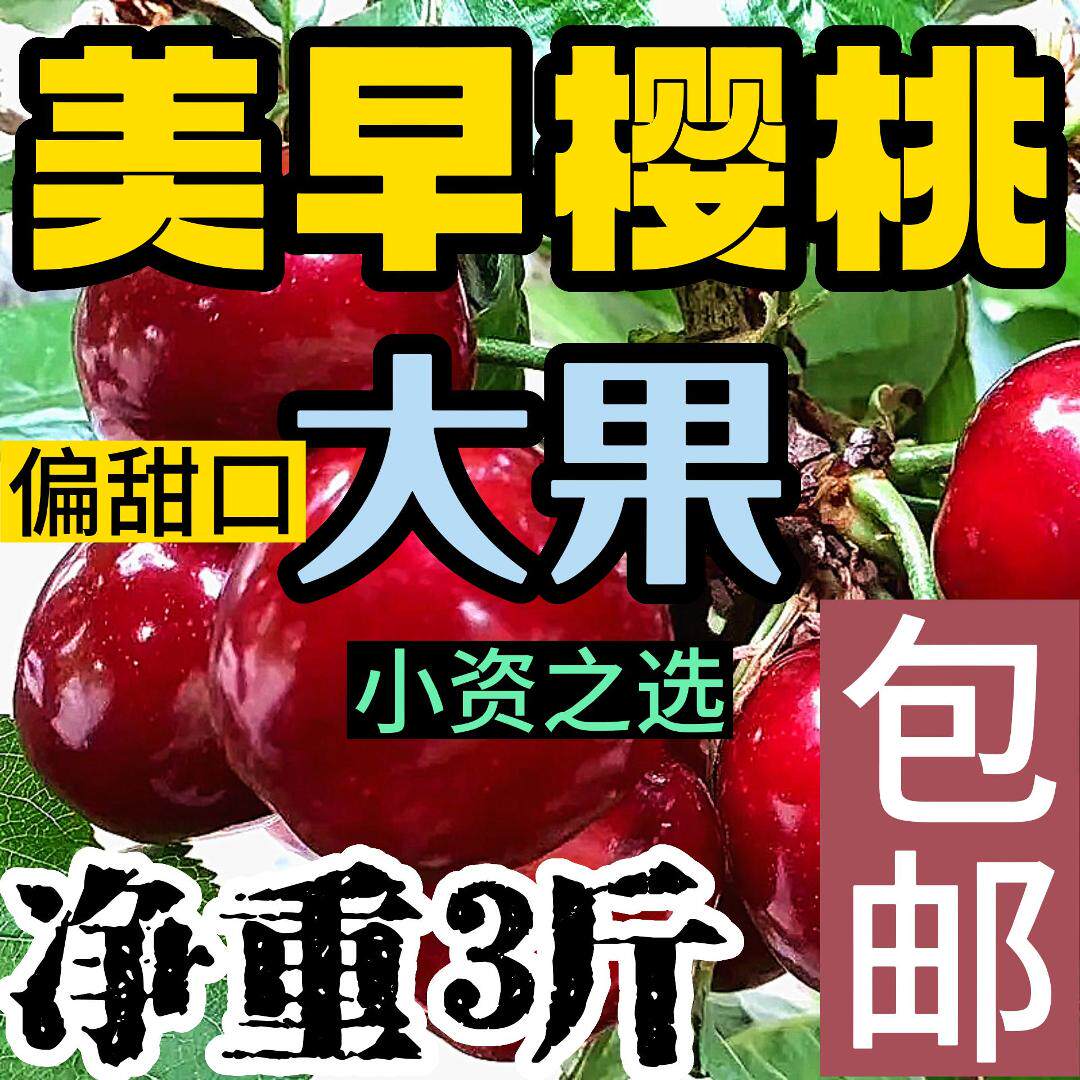 烟台美早樱桃凉地露天自然成熟净重3斤大果