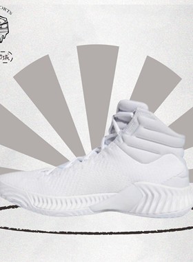 adidas Pro Bounce 2018 防滑潮流 运动时尚休闲鞋 纯白色 FW0902