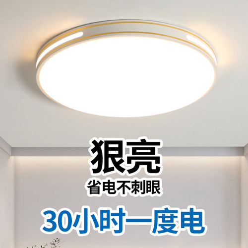 2026新款客厅吸顶灯大厅