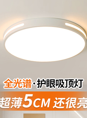 全光谱led吸顶灯卧室2026新款主卧简约现代护眼儿童房间家用灯具