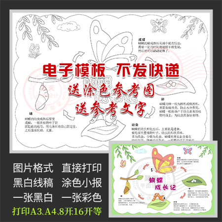 自然笔记蝴蝶成长记蝴蝶的蜕变生长过程黑白线描涂色手抄报a260