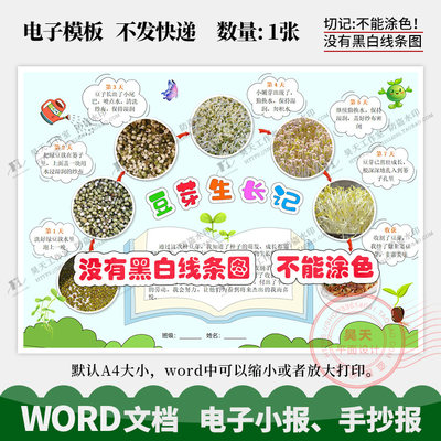 豆芽成长记录手抄报植物成长观察日记彩色word电子小报模板D001