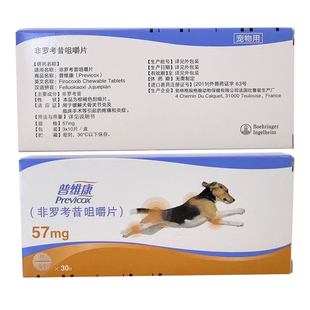 宠物关节康狗狗犬止痛片非罗考昔一盒