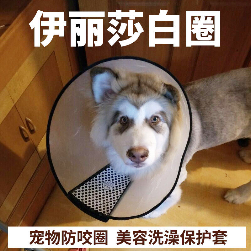 狗狗伊丽莎白圈 猫用脖圈狗脖套 宠物防咬圈 美容洗澡保护套窝,宠物/宠物食品及用品,项圈/肩带,淘宝优惠券,粉丝福利购,淘宝优惠卷