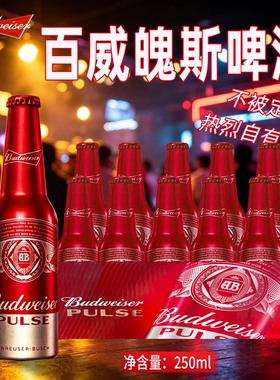 百威魄斯啤酒24罐临期整箱