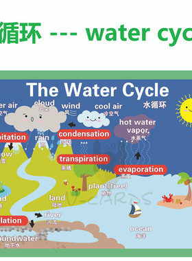 思维导图water cycle水循环英语教具大闪卡教室装修装饰海报A3