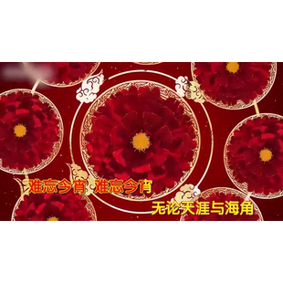 难忘今宵 李谷一 自制1080p MP4视频原版伴奏KTV字幕