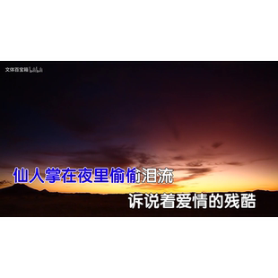 阿野 爱绝迹 原版伴奏 MP4高清 视频伴奏 KTV字幕歌曲MV