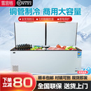 冰柜商用大容量冷冻冷藏展示柜卧式 双温冷柜保鲜冰箱