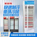 啤酒饮料柜保鲜柜展示柜 雪宫格冷藏超市便利店冰柜商用单双门立式