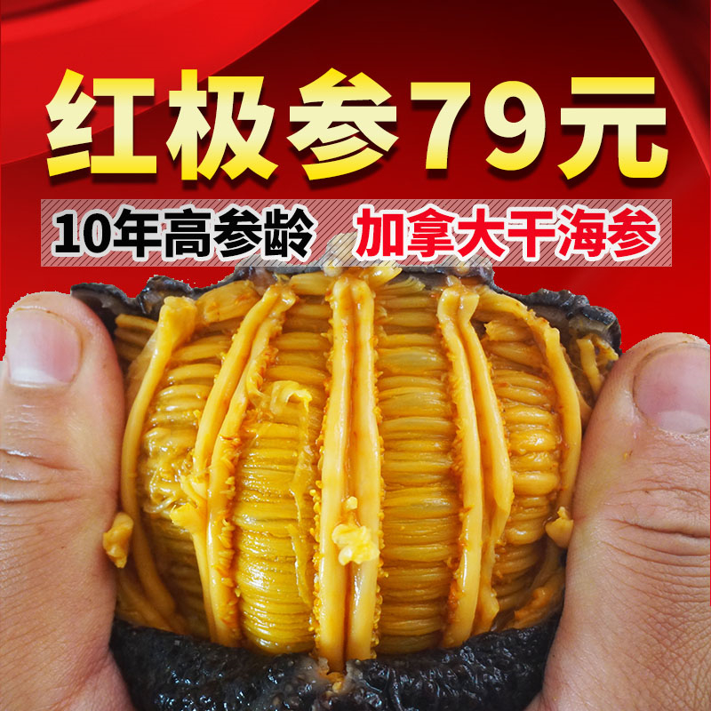 加拿大野生海参干货 10年参龄北极红极参50g 非冰岛进口 大连海渗