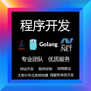 网站定制开发程序代做爬虫开发企业级大型分布式系统平台构建