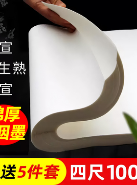 大山皮纸半生半熟宣纸批发100张书法专用纸练字作品纸四尺生宣纸对开国画熟宣纸工笔画加厚写毛笔字纸初学者