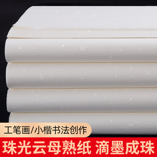 大山皮纸云母熟纸书画作品纸书法专用作品纸四尺对开三开四开国画工笔画小楷抄经专用书法练习用纸100张