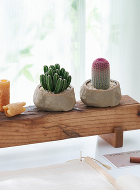 仙人掌多肉组合简约盆栽室内办公室桌面植物好养活净化空气绿植