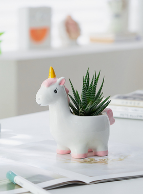 创意小马造型多肉植物盆栽室内桌面摆件新手易养净化空气花卉绿植