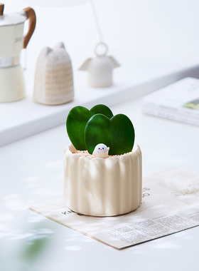 心叶球兰盆栽 室内治愈办公室桌面装饰植物 情人礼物盆栽四季常青