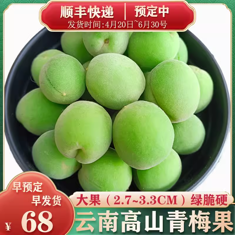 顺丰云南高山青梅鲜果泡酒专用