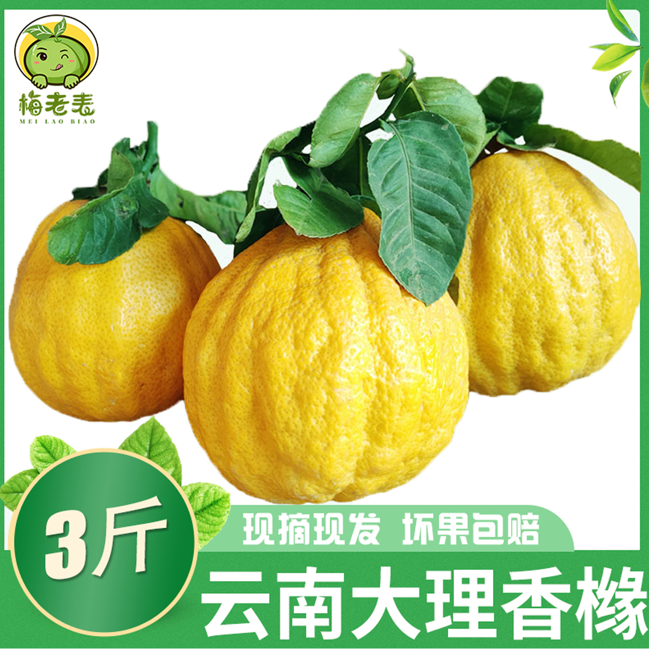 云南大理香橼果新鲜摆件扶手佛手片供贡果水果桌面摆放香园圆泡酒