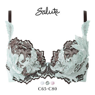 华歌尔Salute内衣女小胸聚拢显大性感重工立体刺绣蕾丝文胸罩32G