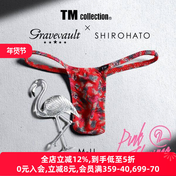 Gravevault男士内裤日本制性感细带紧身本命年红色低腰丁字T裤240