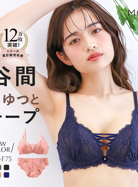 诗萝涵朵MCP内衣套装聚拢上托收副乳性感蕾丝刺绣文胸内裤套装女