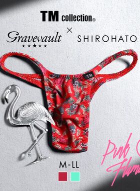 Gravevault男士内裤日本制性感细带紧身本命年红色低腰三角裤240