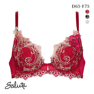 华歌尔Salute红色内衣女聚拢收副乳重工刺绣蕾丝本命年文胸罩70G