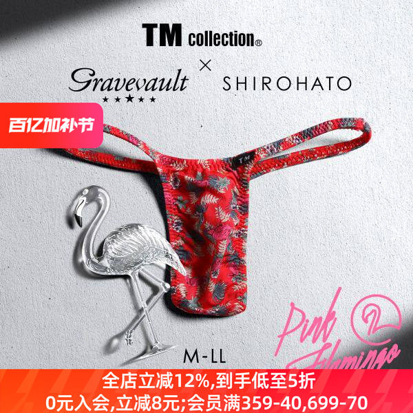 Gravevault男士内裤日本制性感细带紧身本命年红色低腰丁字T裤240