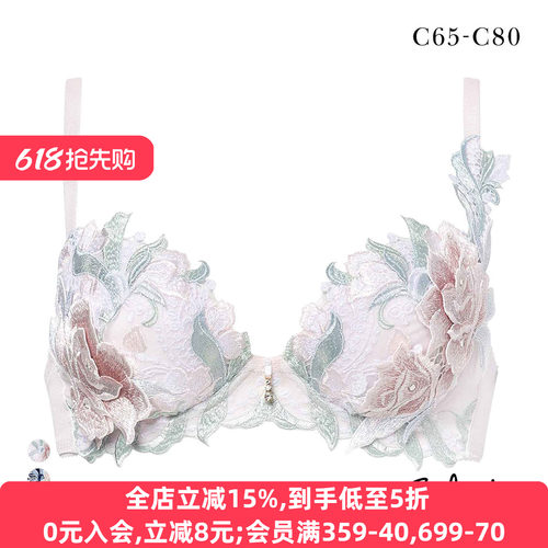 Salute聚拢显大立体刺绣性感文胸