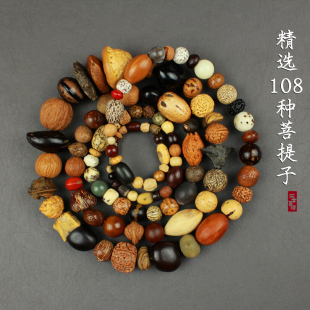 多宝项链菩提子108种菩提原籽挂件手链佛珠念珠收藏款十八子手串