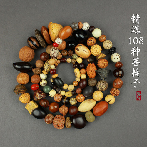 十八子手串108种菩提子把玩收藏