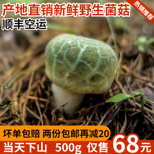 新鲜菌菇红白牛肝菌黑虎掌菌老人头菌鸡油菌青头菌鹅蛋菌皇帝菇