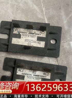 GENTRON POWERTHERM B552266NG 原[议价]